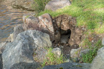 Water And Hole
