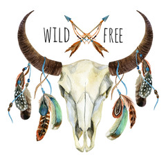 Cow skull. Animal skull with feathers © Tanya Syrytsyna