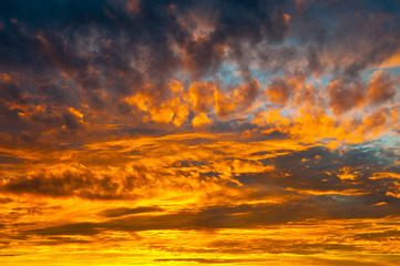 Fototapeta premium Yellow sunset