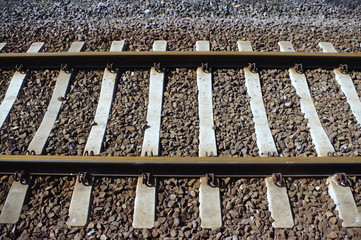 tory kolejowe © Konrad_elx