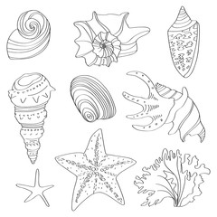 Sea collection. Original hand drawn illustration in vintage style