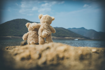 teddy bear adventure