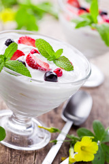 Refreshing Fruit Yogurt