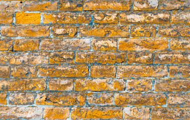 Brick wall made of  bricks in the room.