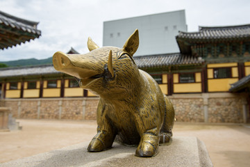 Golden pig at Bulguksa  temple