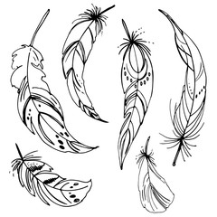 Set of ornaments, feathers and beads. Native american indian dream catcher, traditional symbol. Feathers and beads on white background. Vector decorative elements hippie.