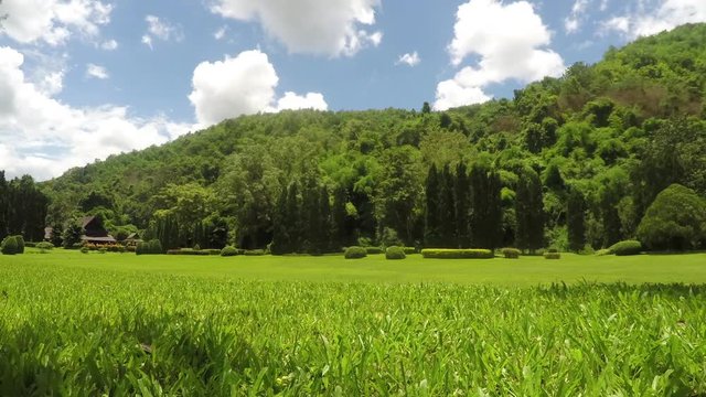 Thailand resort green field landmark  timelapse