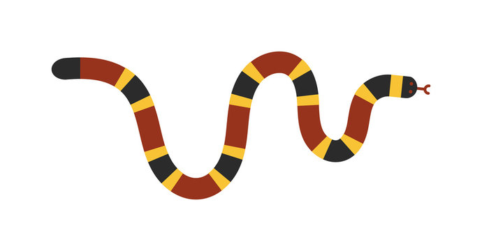 Vector flat snake isolated on white background