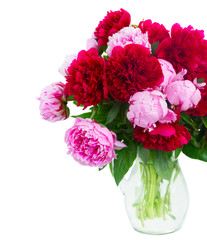 pink and red  peonies