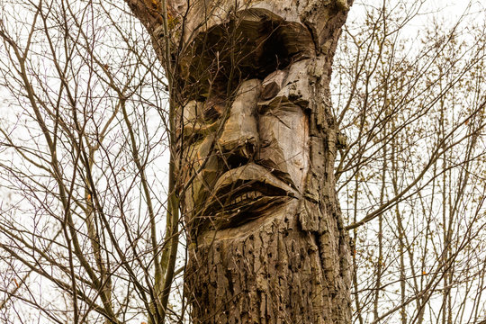 Baumgeist