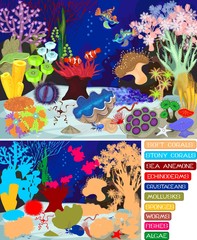 Coral reef with soft and hard corals. Ecosystem.