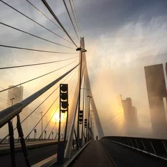 Photo sur Aluminium Rotterdam erasmusbridge during sunset