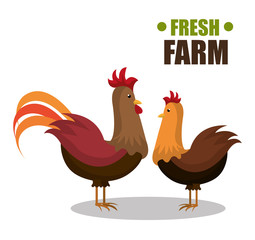 farm fresh design 