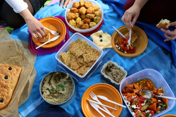 Top view of various picnic food: vegetable and feta salad, baba ghanoush, healthy crackers, rice fritters and olive bread. 