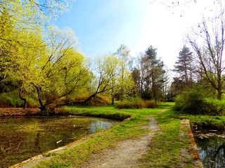 Park in spring