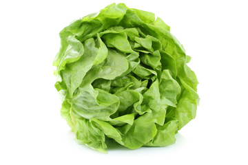 Salat Kopfsalat bio Gemüse Freisteller freigestellt isoliert