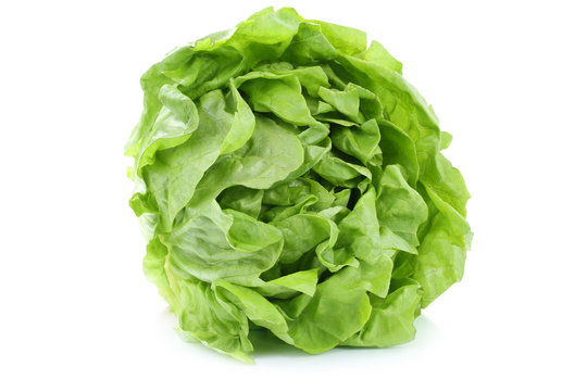 Salat Kopfsalat bio Gemüse Freisteller freigestellt isoliert
