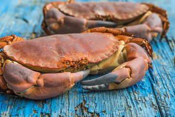 Boiled crab on wooden table - obrazy, fototapety, plakaty