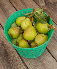 Plastic bucket with green pears