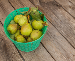 Plastic bucket with green pears