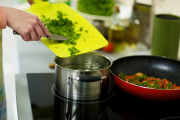 Female hands cooking on kitchen with pan, closeup