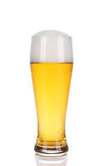 Glass of light beer, isolated on white