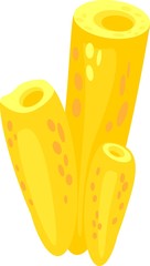 Yellow Sea Sponge