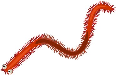 Funny Polychaete