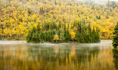 Island on pond