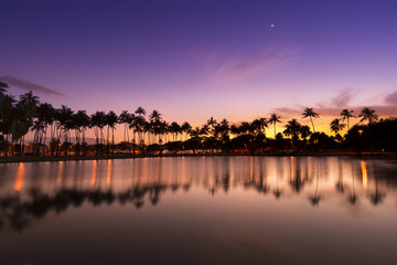 ハワイ、アラモアナの夕暮れ