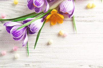 Beautiful crocus flowers with beads on wooden background