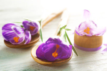Beautiful crocus flowers in spoons on wooden table closeup