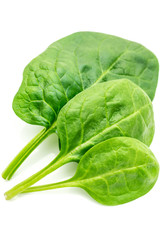 Blattspinat
