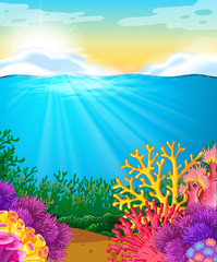 Fototapeta na wymiar Coral reef under the sea