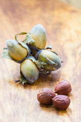 Hazelnuts cluster filbert nuts in the hard shell.