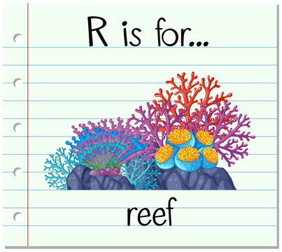 Flashcard letter R is for reef