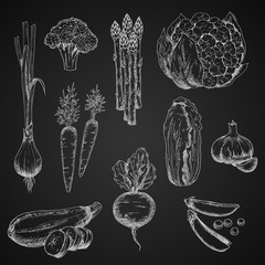 Chalck sketches of vegetables on chalkboard