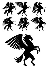 Rearing winged pegasus black horses