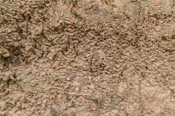 Close up of Dry Soil texture - background & copy space
