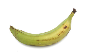 Plantain Banana