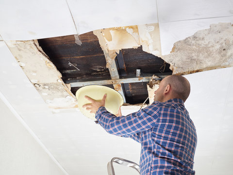  Man Collecting Water In basin From Ceiling