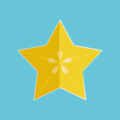 fruit over circle  design, vector illustration