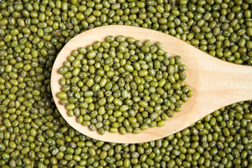 scoop of green beans seed on a pile of green bean seed