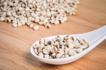 spoon of millet in front of a blurry pile of millet.Selective fo