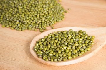 scoop of green bean seed in front of a blurry pile of green bean