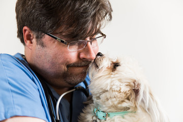 Veterinarian holding happy dog.