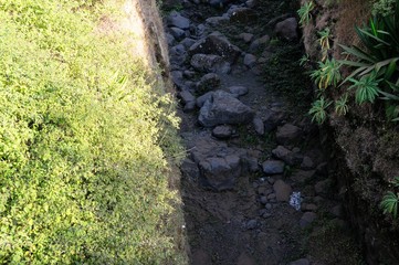 Bottom of a Dry River Bed