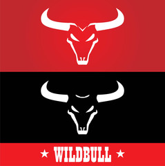 Bull. Wild bulls, Wild bulls head with the bold horn. White Bull Head over the red and black background.