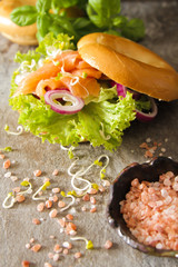 bagel with salmon and germinated sprouts pink salt