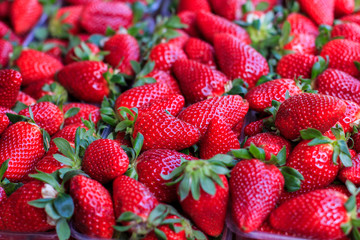 Fresh Strawberry Fruit